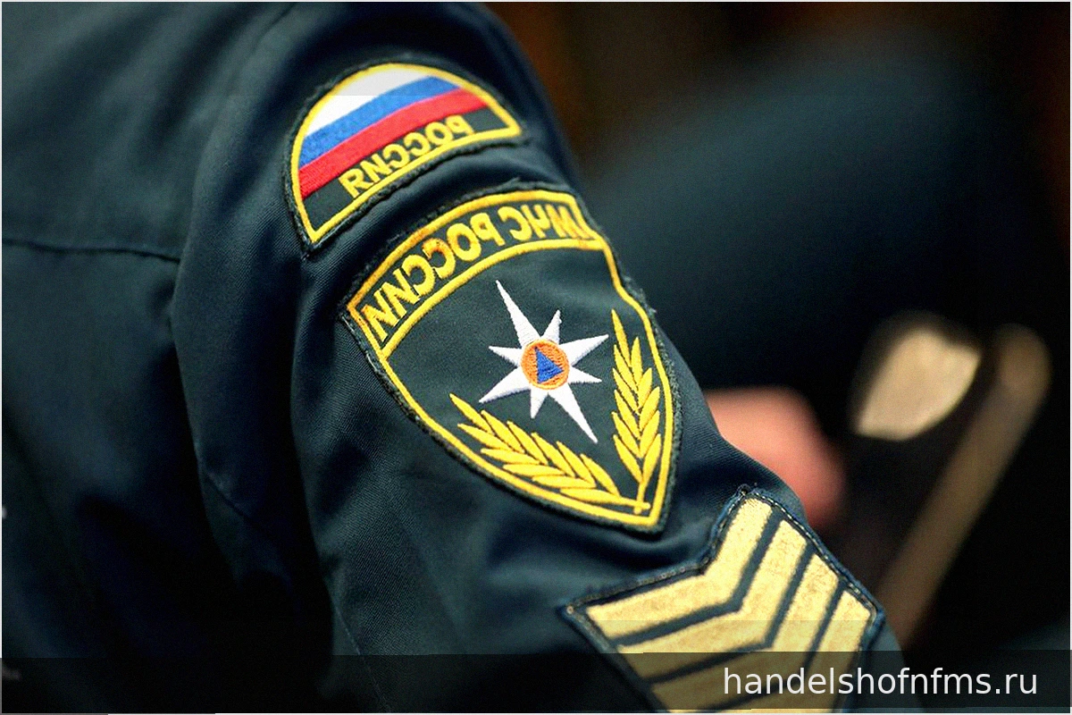 Трагедия в Брянской области: Найдены тела двух утонувших подростков в озере