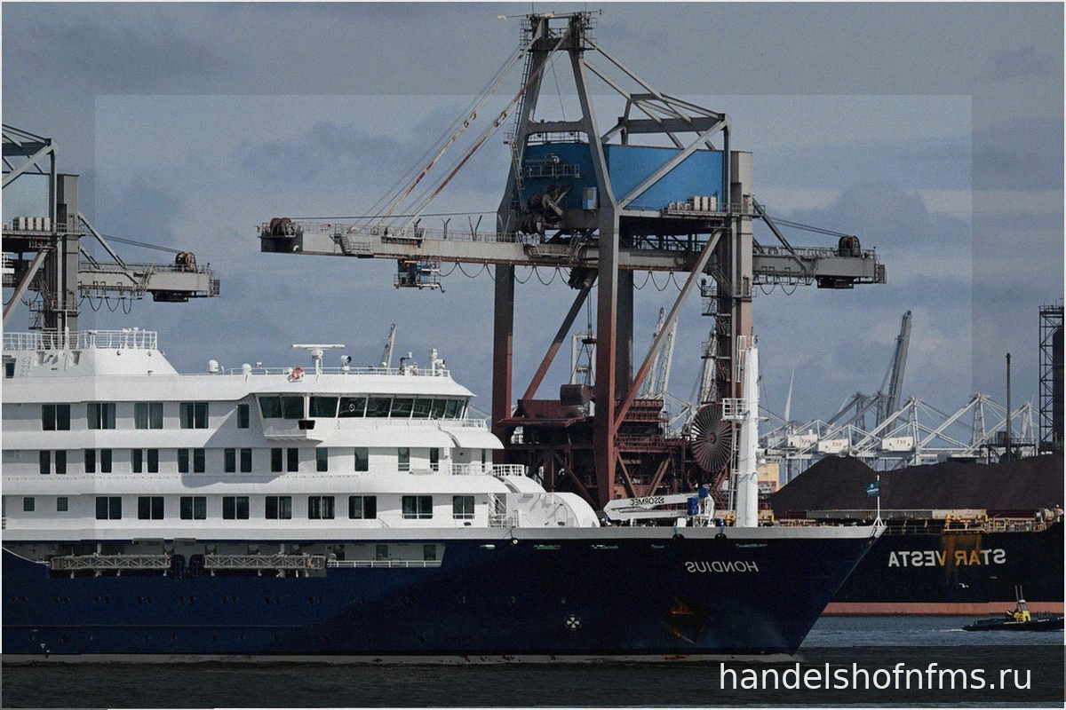MV Hondius с хантавирусом прибыл в Роттердам: что ожидает последних пассажиров
