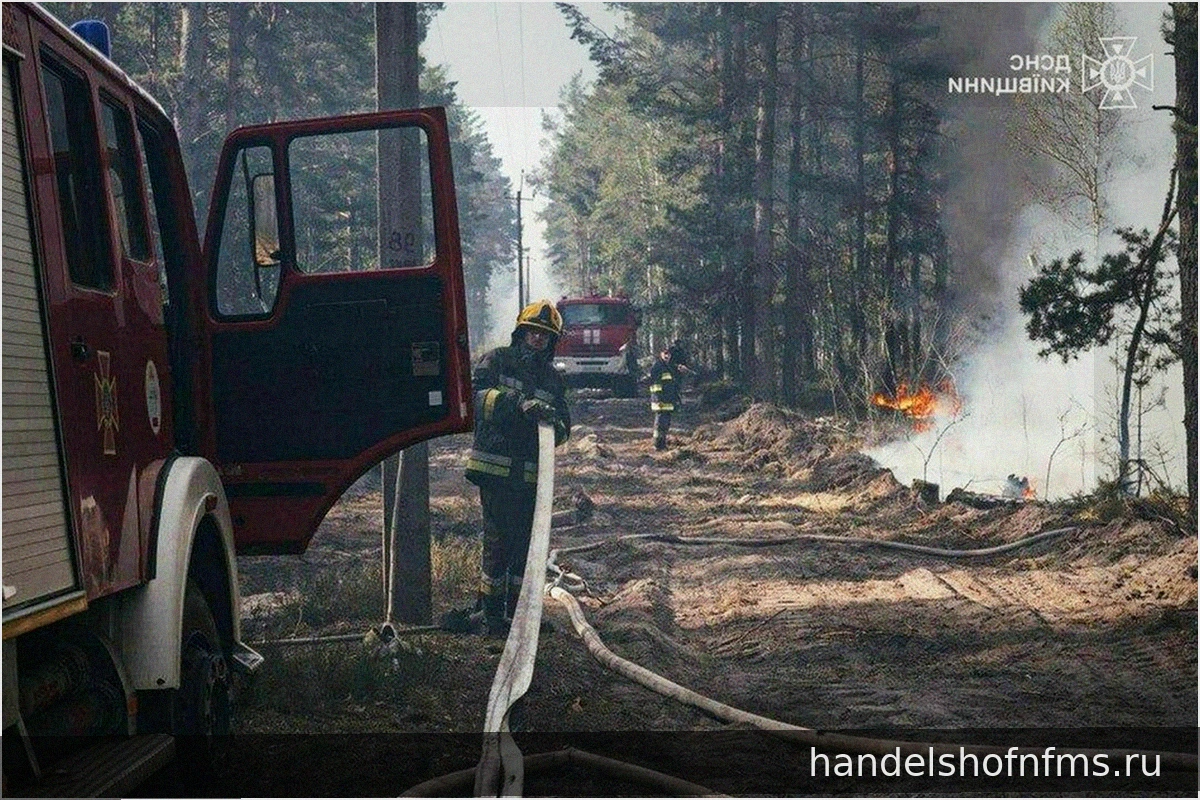 Пожар в Чернобыльской зоне отчуждения после атаки беспилотника