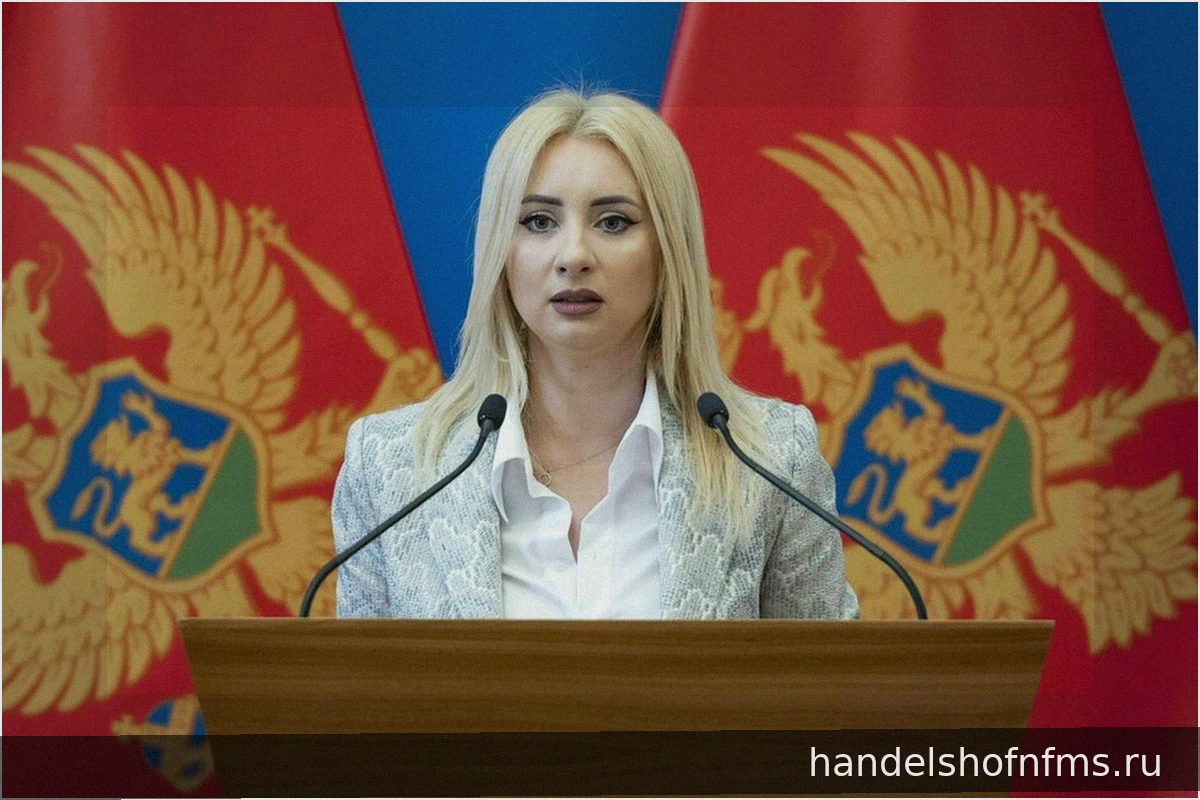 Расширение Европейского Союза: Черногория на пороге