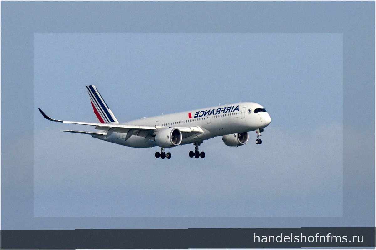 Рейс Air France отклонен в Канаду из-за ограничений по Эболе