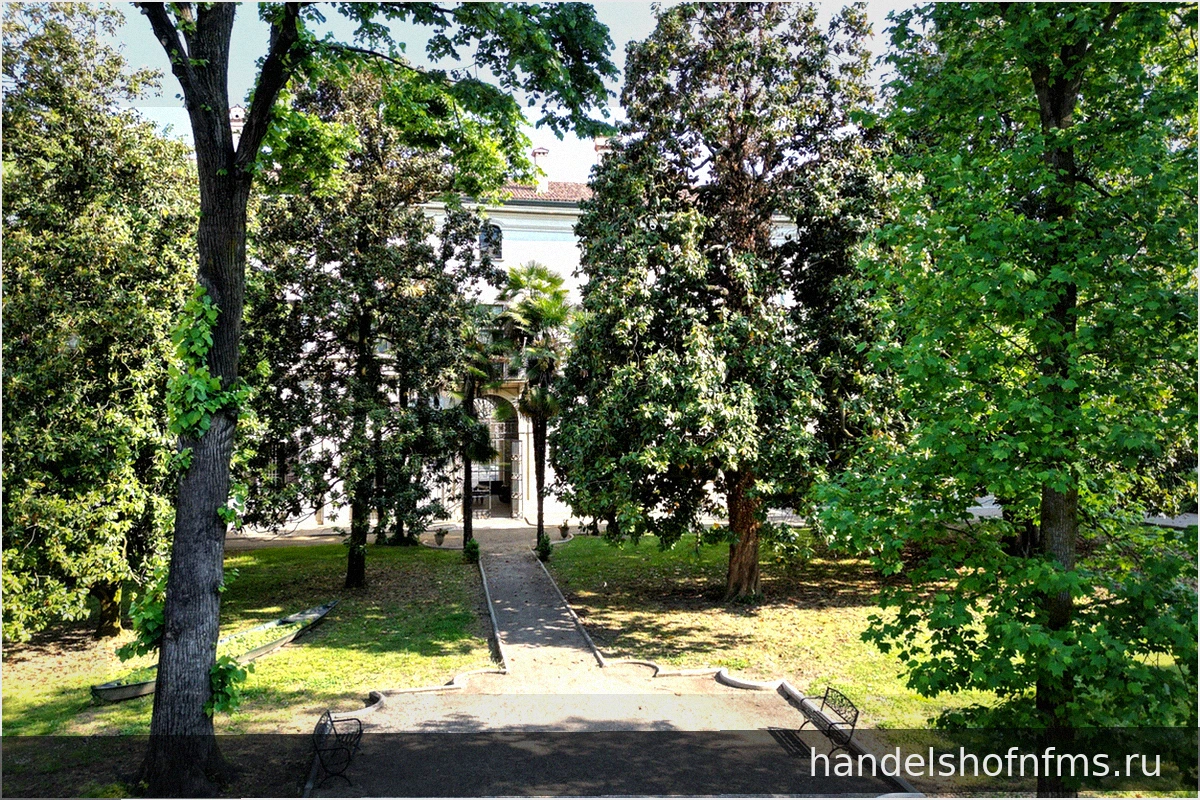Сад Памяти Энди Роккелли в Павии: Вспоминая фоторепортера, погибшего на Донбассе в 2014 году