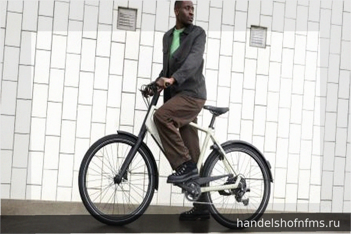 Gazelle Curb: Neues E-Bike mit Bosch-Hinterradmotor „Hub Line“